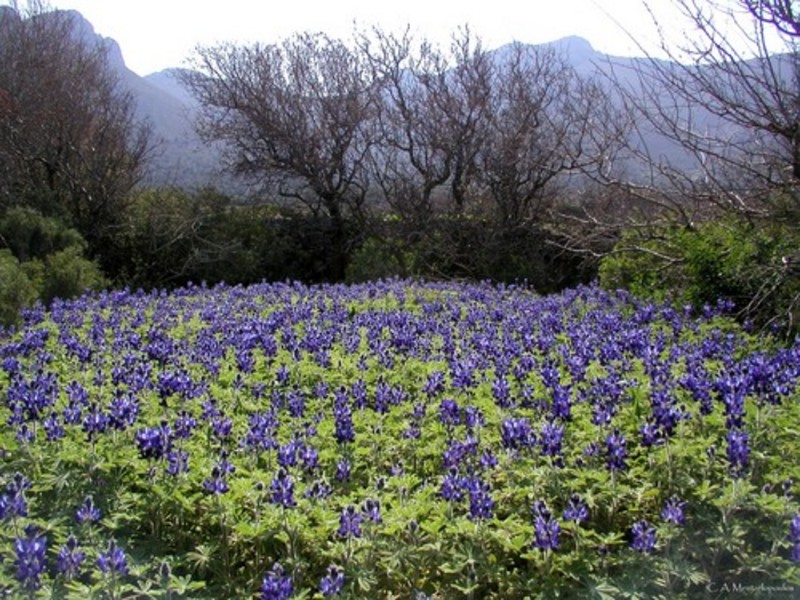 Tilos’ Ecological Park