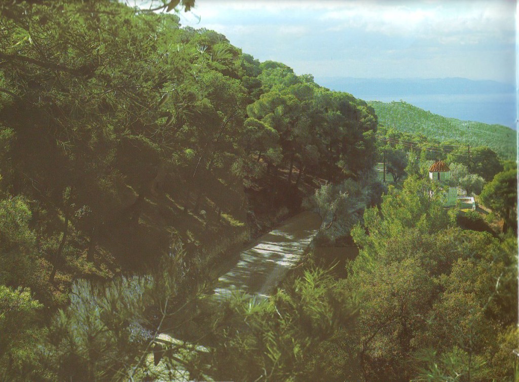 Walking the island's forests