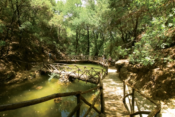 The Valley of the Butterflies