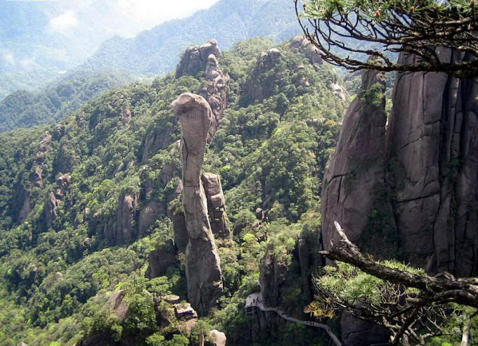 The Petrified Forest