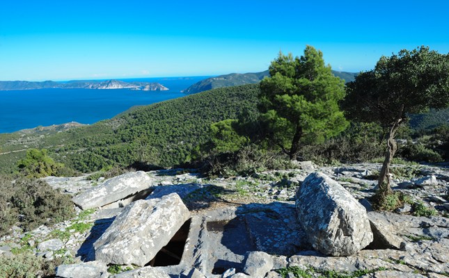 Check out “sentoukia”