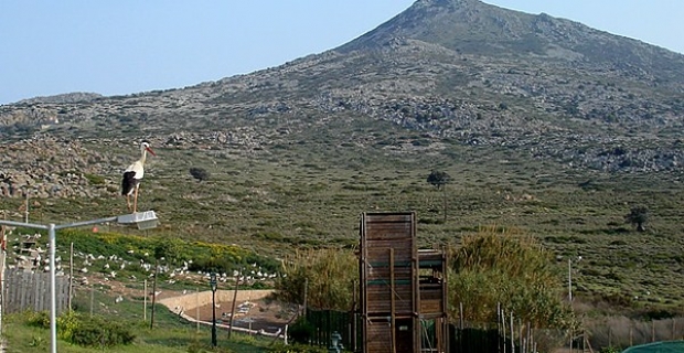 Visit the Hellenic Wildlife Hospital